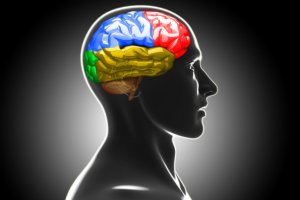 Humanização na Saúde Mental